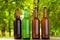 Beer on table on blurred park background, summer drinks,coloured bottles