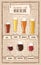 Beer types. A visual guide to types of beer. Various types of beer in recommended glasses