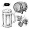 Beer vector set. Alcohol beverage hand drawn illustration. Craft Beer