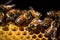 Bees building a honeycomb AI generated