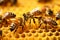 Bees in close-up in honeycomb with honey