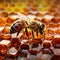 Bees Constructing Honeycomb with Intricate Precision