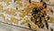 Bees fly out and fly into the round entrance of a wooden vintage beehive in an apiary close up view