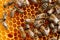 Bees get honey. Bees work on apiaries