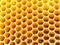 Bees honey cells