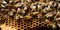 Bees on a honeycomb. It shows several bees at work filling the honeycombs with honey.