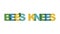 BEES KNEES, phrase overlap color no transparency. Concept of simple text for typography poster, sticker design, apparel print,