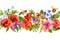 Bees, meadow flowers, summer grasses, wild leaves. Repeating floral horizontal border. Watercolor