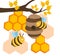 Bees near beehive
