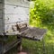 Bees returning to the wooden beehive