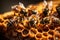 bees sit on a stack of honeycombs on a light background.