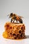 bees sit on a stack of honeycombs on a light background.