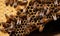 Bees swarm around the honeycomb a bustling symphony of organized chaos. Creating using generative AI tools