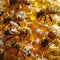 Bees swarming around honey