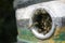 Bees use an old beer barrel