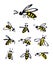 Bees Vector Illustrations Isolated objects Hand drawing Sketch style