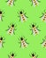 Bees, wasps and gadflies. Green seamless pattern. Design for postcards, prints, clothes. Registration of medicines and cosmetics