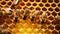 bees work on laying propolis in a hive. honey bees work in the hive.Generative AI