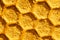 beeswax pattern, golden honeycomb with a hexagon cell shape, beehive macro