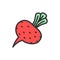 Beet, beetroot, vegetable flat color line icon.