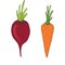 Beet and carrot vector icons. Seeds packaging design. Vegetables sticker. Ingredients for recipe book.