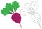 Beet cartoon. Coloring page. Game for children.