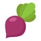 Beet flat icon, vegetable and diet