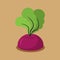 Beet growing isolated. Fresh vegetables in garden