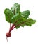 Beet isolated