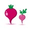 Beet and radish. Colored vegetable with shadow. Vector illustration