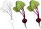 Beet set three ways. Vector illustration. Coloring paper, page, book