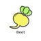 Beet thin line icon. Isolated beetroot vegetables linear style for menu, label, logo. Simple vegetarian food sign