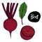Beet in a vector style isolated. Color sketch. Beetroot Illustration. Vector vegetables