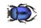 Beetle blue design