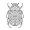 Beetle bronze coloring book. beetle illustration