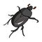 Beetle is a coleopterous insect.Arthropods insect, beetle single icon in cartoon style vector symbol stock isometric