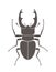 Beetle deer. Hercules beetle