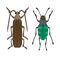 Beetle flat insect bug in cartoon style vector