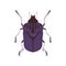 Beetle Insect, Blue and Black Bug Top View Flat Vector Illustration