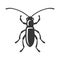 Beetle Insect Icon on White Background. Vector