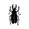 Beetle insect. Nature water beetle and zoology water beetle. Wildlife insect water black beetle ecology detail.