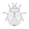 Beetle Ladybug coloring book.Ladybug linear vector