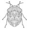 Beetle picasso coloring book. Bedbug illustration