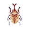 Beetle with proboscis. Bug with long nose, snout, top view. Spotted winged insect. Fantasy abstract fauna species. Flat