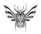 Beetle tattoo art. Cetonia aurata. Print design. T-shirt. Scarab Poster