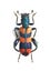 Beetle Trichodes affinis