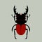 Beetle, vector illustration,flat style,front side