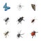 Beetle, wasp, bee, ant, fly, spider, mosquito and other insect species. Various insects set collection icons in cartoon