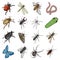 Beetle, wasp, bee, ant, fly, spider, mosquito and other insect species. Various insects set collection icons in cartoon