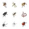 Beetle, wasp, bee, ant, fly, spider, mosquito and other insect species. Various insects set collection icons in cartoon